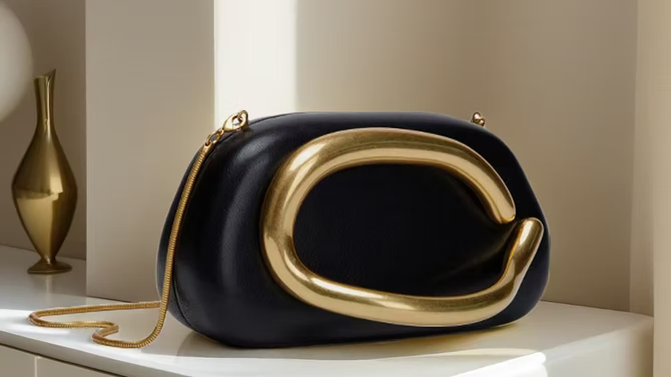 Oval Clutch bag